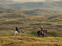 NL, Noord-Holland, Texel, Dunes near Paal nine 1, Foto Fitis-Sytske Dijksen