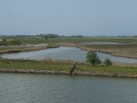 NL, Noord-Holland, Texel, Het Noorden 9, Saxifraga-Willem van Kruijsbergen