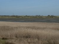 NL, Noord-Holland, Texel, Mok 1, Saxifraga-Willem van Kruijsbergen