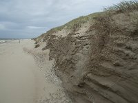 NL, Noord-Holland, Texel, Paal 15 5, Saxifraga-Willem van Kruijsbergen