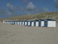 NL, Noord-Holland, Texel, Paal 21 8, Saxifraga-Willem van Kruijsbergen