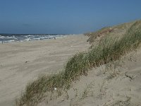 NL, Noord-Holland, Texel, Paal 22 2, Saxifraga-Willem van Kruijsbergen