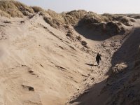 NL, Noord-Holland, Texel, Paal acht 2, Saxifraga-Foto Fitis-Sytske Dijksen