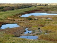 NL, Noord-Holland, Texel, Slufterdijkje 1, Foto Fitis-Sytske Dijksen