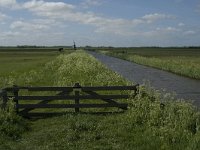 NL, Noord-Holland, Texel, Waal en Burg 7, Saxifraga-Jan van der Straaten