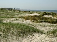 NL, Noord-Holland, Velsen, Duin en Kruidberg 4, Saxifraga-Piet Munsterman