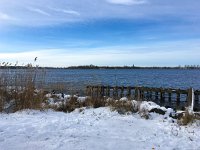 NL, Noord-Holland, Wijdemeren, Spiegelplas 1, Saxifraga-Bart Vastenhouw