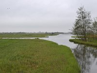 NL, Noord-Holland, Wormerland, Wormer- en Jisperveld 5, Saxifraga-Tom Heijnen