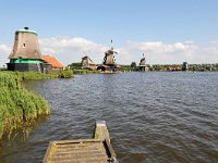 NL, Noord-Holland, Zaanstad, Zaanse Schans 2, Saxifraga-Tom Heijnen