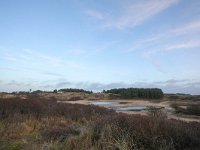 NL, Noord-Holland, Zandvoort, Kraansvlak 3, Saxifraga-Bart Vastenhouw