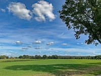 NL, Overijssel, Dalfsen, Dalmsholte 1, Saxifraga-Ab H Baas