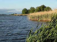 NL, Overijssel, Kampen, Ketelmeer 1, Saxifraga-Mark Zekhuis