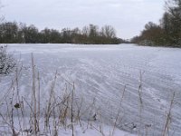 NL, Overijssel, Olst-Wijhe, Hengforderwaarden 4, Saxifraga-Mark Zekhuis