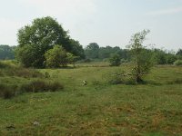 NL, Overijssel, Ommen, Junnerkoeland 26, Saxifraga-Willem van Kruijsbergen