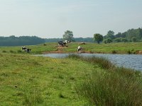 NL, Overijssel, Ommen, Junnerkoeland 28, Saxifraga-Willem van Kruijsbergen