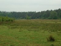 NL, Overijssel, Ommen, Junnerkoeland 5, Saxifraga-Willem van Kruijsbergen