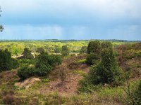 NL, Overijssel, Ommen, Lemelerberg 27, Saxifraga-Mark Zekhuis