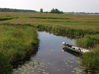 NL, Overijssel, Steenwijkerland, De Klosse 4, Saxifraga-Hans Dekker