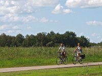 NL, Overijssel, Steenwijkerland, Weerribben 23, Saxifraga-Hans Dekker