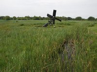 NL, Overijssel, Steenwijkerland, Weerribben 30, Saxifraga-Hans Dekker