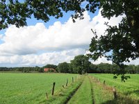 NL, Overijssel, Tubbergen, Mander 2, Saxifraga-Mark Zekhuis