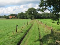 NL, Overijssel, Tubbergen, Mander 4, Saxifraga-Mark Zekhuis