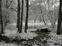 NL, Overijssel, Tubbergen, Sprengebeek 2, Saxifraga-Ab H Baas