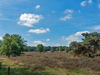 Springendal Paardeslenkte 01, Overijssel, AHB  Springendal Paardeslenkte op 18 juni 2017