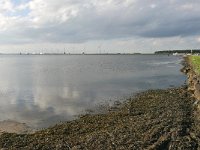 NL, Utrecht, Bunschoten, Oude Havenstraat with view of Eemmeer 1, Saxifraga-Tom Heijnen