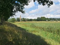 NL, Utrecht, Utrechtse Heuvelrug, Amerongse Bovenpolder with view of Andrieskerk Amerongen 1, Saxifraga-Tom Heijnen