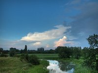 NL, Utrecht, Wageningen, Grebbedijk 2, Saxifraga-Bart Vastenhouw