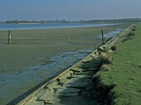 NL, Zeeland, Goes, Middelplaten 2, Saxifraga-Jan van der Straaten