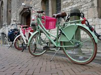 NL, Zeeland, Middelburg 1, Saxifraga-Tom Heijnen