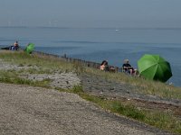 NL, Zeeland, Noord-Beveland, Oostnol 3, Saxifraga-Jan van der Straaten