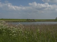 NL, Zeeland, Noord-Beveland, Zandhoekweg 1, Saxifraga-Jan van der Straaten