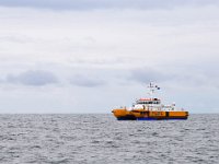 NL, Zeeland, Noordzee, Zeeuwse Banken 3, Bart Vastenhouw-Saxifraga