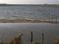 NL, Zeeland, Schouwen-Duiveland, Dijkwater 1, Saxifraga-Jan van der Straaten