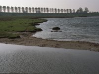 NL, Zeeland, Schouwen-Duiveland, Dijkwater 7, Saxifraga-Jan van der Straaten