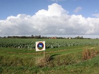 NL, Zeeland, Schouwen-Duiveland, Dreischor 4, Saxifraga-Peter Meininger