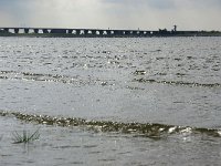 NL, Zeeland, Schouwen-Duiveland, Grevelingen 2, Foto Fitis-Sytske Dijksen