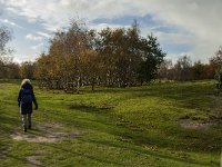 NL, Zeeland, Schouwen-Duiveland, Het Zeepe 20, Saxifraga-Jan van der Straaten