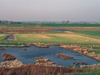 NL, Zeeland, Schouwen-Duiveland, Koudekerkse Inlaag 3, Saxifraga-Jan van der Straaten