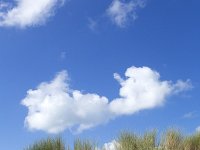 Sandy dunes with Beach grass on blue sky with fluffy white clouds  Ammophila arenaria. : Joy, Pleasure, Summer, Summertime