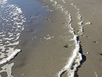 Foam on sandy beach  Foam on sandy beach : autumn, beach, coast, fall, foam, natural, nature, no people, nobody, non-urban scene, outdoor, outdoors, outside, plant, rural, rural scene, sand, sandy, sandy beach, sea, seawater, shore, shoreline, summer, summertime, surf, water, white