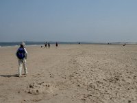 NL, Zeeland, Schouwen-Duiveland, Zeerust 1, Saxifraga-Jan van der Straaten