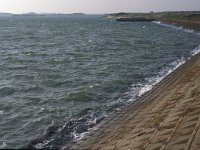 NL, Zeeland, Schouwen-Duivenland, De Schelphoek 4, Saxifraga-Jan van der Straaten