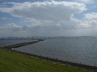 NL, Zeeland, Schouwen-Duivenland, Zeelandbrug 3, Saxifraga-Jan van der Straaten