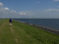 NL, Zeeland, Schouwen-Duivenland, Zuidhoek 4, Saxifraga-Jan van der Straaten