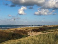 NL, Zeeland, Veere 17, Saxifraga-Jan van der Straaten