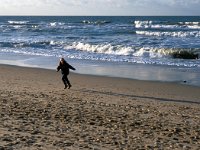 NL, Zeeland, Veere, Domburg 1, Saxifraga-Jan van der Straaten